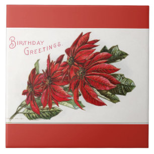 Poinsettia Dezember Geburtstag Großes Quadratische Fliese