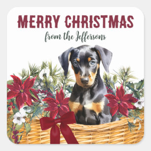Poinsettia Doberman Pinscher Christmas Basket Quadratischer Aufkleber