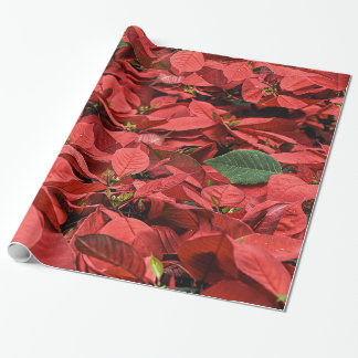 Poinsettia-Feiertags-Weihnachtsgeschenk-Packpapier Geschenkpapier