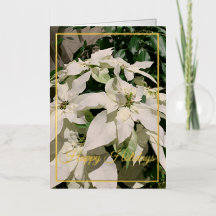 Poinsettia Folgekarte Foil Holiday Card No: 1