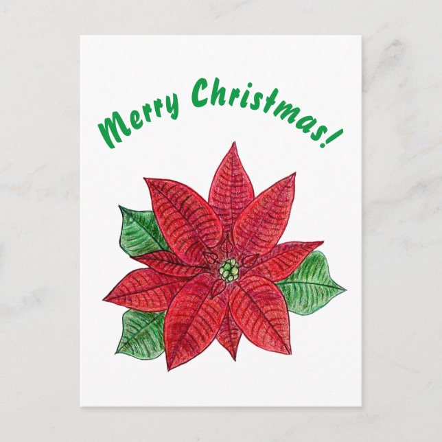 Poinsettia - Frohe Weihnachts-Postkarte - Weiß Postkarte (Vorderseite)