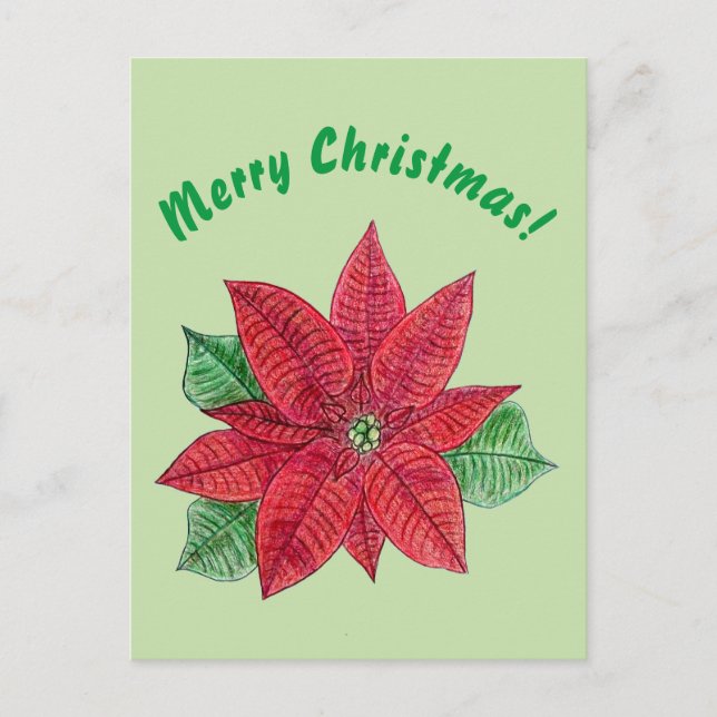 Poinsettia - Frohe Weihnachtspostkarte - Minze Postkarte (Vorderseite)