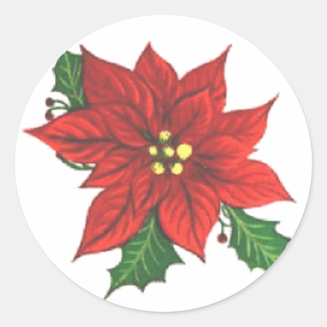 Poinsettia Grußkartenaufkleber Runder Aufkleber (Vorderseite)