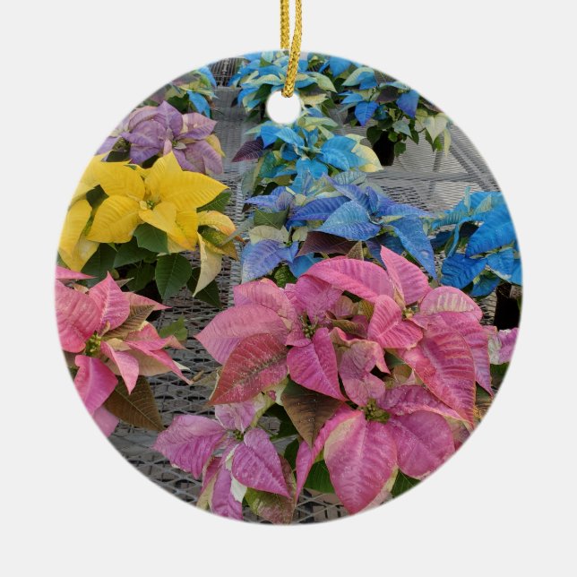 Poinsettia Keramik Ornament (Vorne)