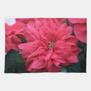 Poinsettia Küchentuch