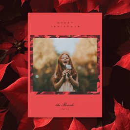 Poinsettia Petals Frame 2 Foto Weihnachtskarte Feiertagskarte