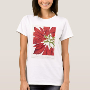 Poinsettia Pulcherrima (Farbelitho) T-Shirt