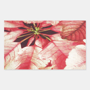 Poinsettia Rechteckiger Aufkleber