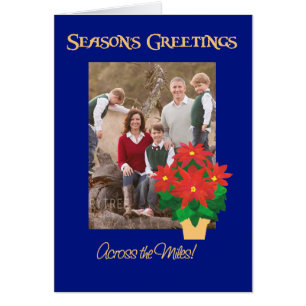 Poinsettia Saison - Grüße über die Meilen hinweg