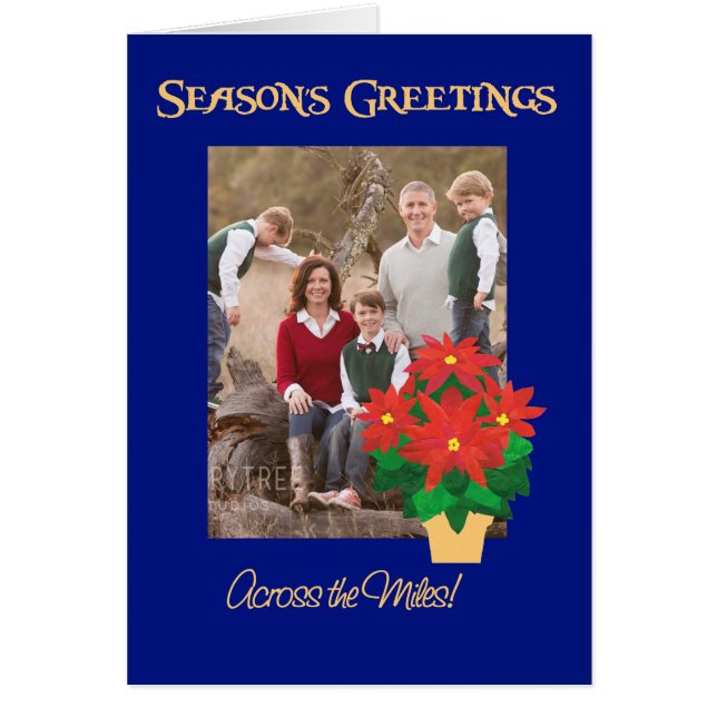 Poinsettia Saison - Grüße über die Meilen hinweg (Vorne)