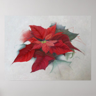 Poinsettia WeihnachtsÖlgemälde Poster