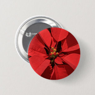 Poinsettia Weihnachtszeit-Blume Text hinzufügen Button