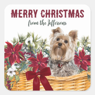 Poinsettia Yorkshire Terrier Weihnachtskorb Quadratischer Aufkleber