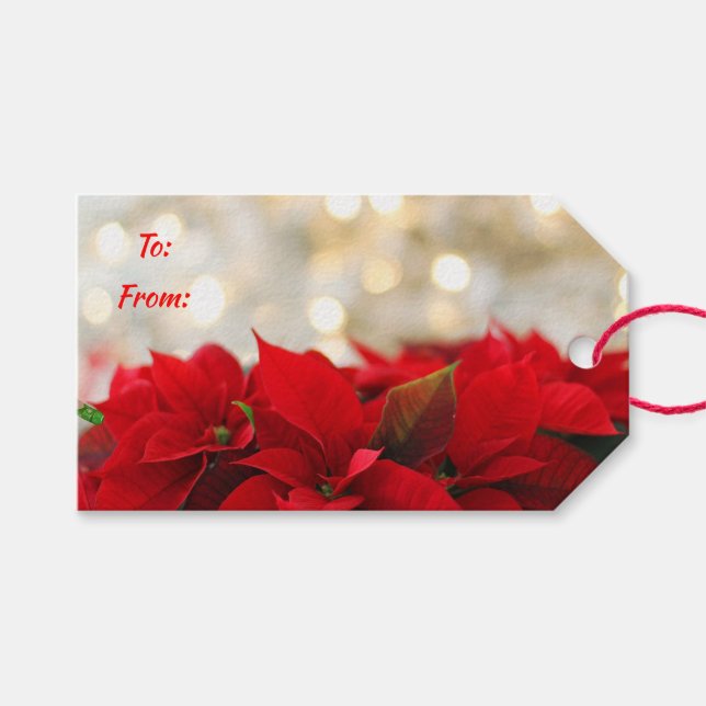 Poinsettias Geschenkanhänger (Vorderseite (Horizontal))