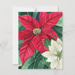 Poinsettie Mitteilungskarte