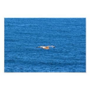 Point Dume Fotodruck