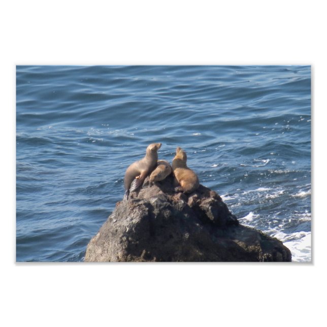 Point Dume Staat Beach Fotodruck (Vorne)