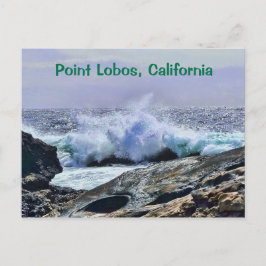 Point Lobos Zentralküste Kalifornien Postkarte