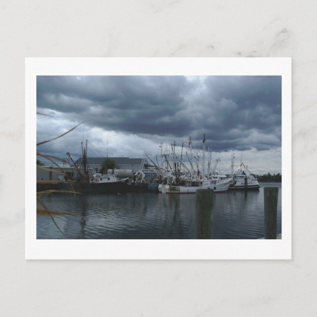 Point Pleasant Beach Fishing Boote Postkarte (Vorderseite)