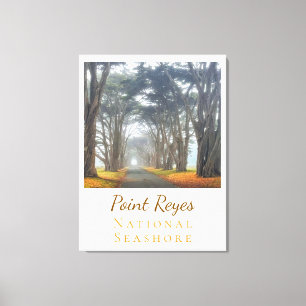 Point Reyes Leinwanddruck