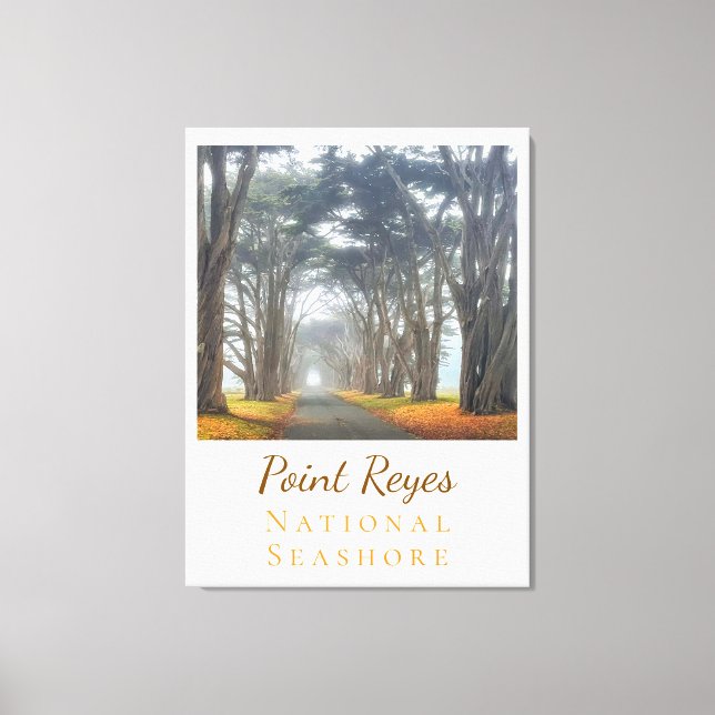 Point Reyes Leinwanddruck (Vorderseite)