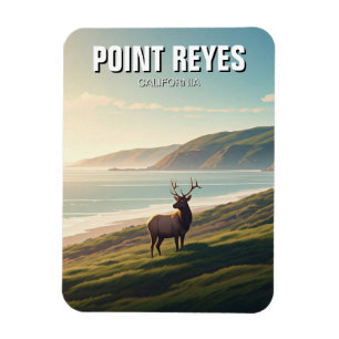 Point Reyes National Seashore Elch Magnet