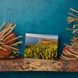 Point Reyes National Seashore Kalifornien Fotoplatte