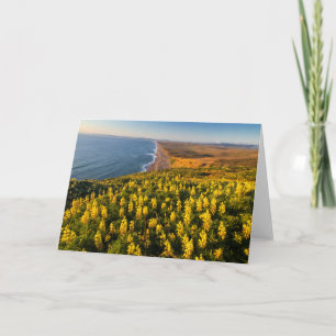 Point Reyes National Seashore Kalifornien Karte