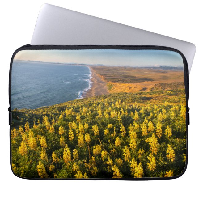 Point Reyes National Seashore Kalifornien Laptopschutzhülle (Vorderseite)
