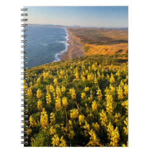 Point Reyes National Seashore Kalifornien Notizblock