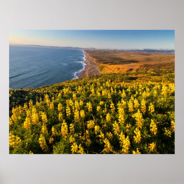 Point Reyes National Seashore Kalifornien Poster (Vorne)