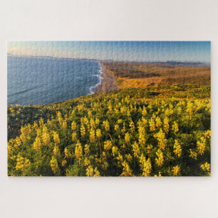 Point Reyes National Seashore Kalifornien Puzzle