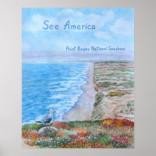 Point Reyes National Seashore Poster (Vorne)