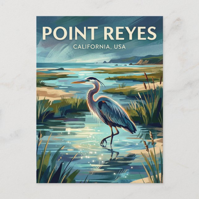 Point Reyes National Seashore USA wird zu Postkarte (Vorderseite)