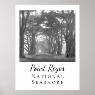 Point Reyes Poster