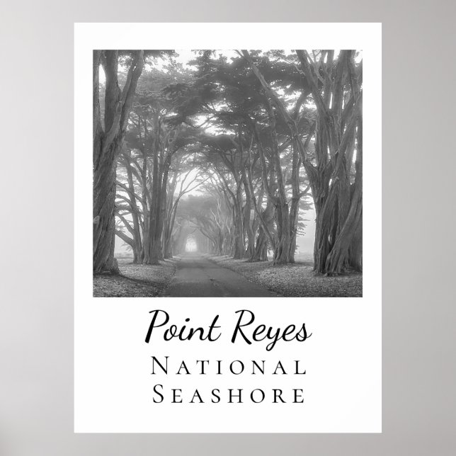 Point Reyes Poster (Vorne)