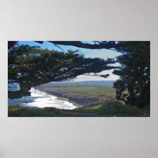 Point Reyes unter Trees Poster