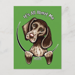 Pointer IAAM Postkarte