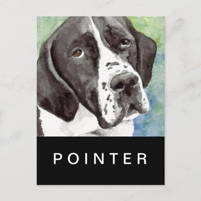 Pointer Post Cards Postkarte (Vorderseite)
