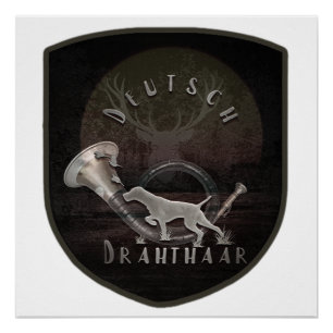 Pointer Poster vom Deutschen Drahthaar