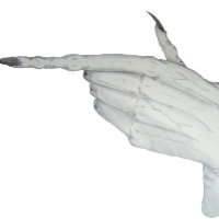 Pointieren beängstigender Monster mit gnartiger Ha