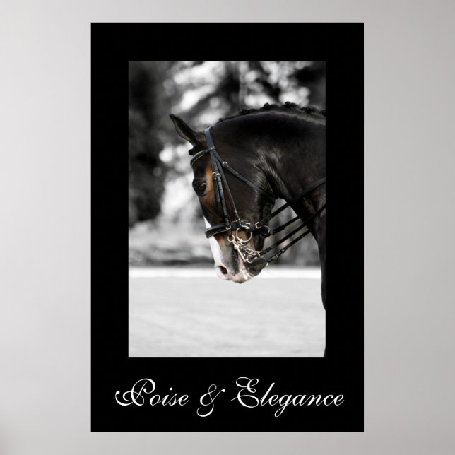 Poise & Elegance Poster (Vorne)