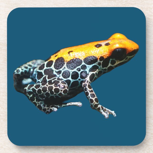 Poison Dart Frog Getränkeuntersetzer (Vorderseite)