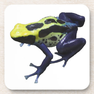 Poison Dart Frog Getränkeuntersetzer