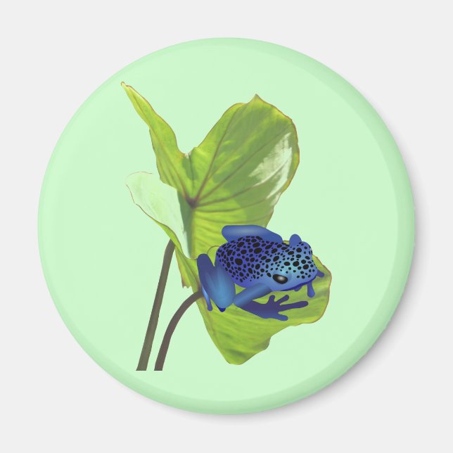 Poison Dart Frog Magnet (Vorne)