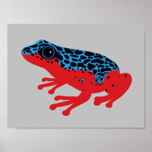 Poison Dart Frog Poster