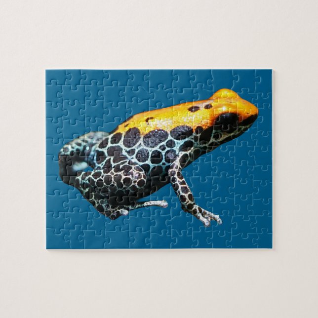 Poison Dart Frog Puzzle (Horizontal)