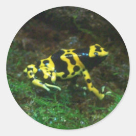 Poison Dart Frog Runder Aufkleber