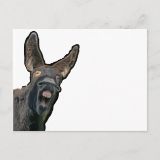 Poitou-Esel Postkarte