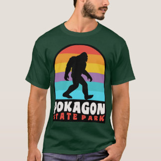 Pokagon Staat Park Indiana Retro Sunset T-Shirt
